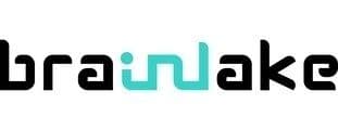 Brainlake logo